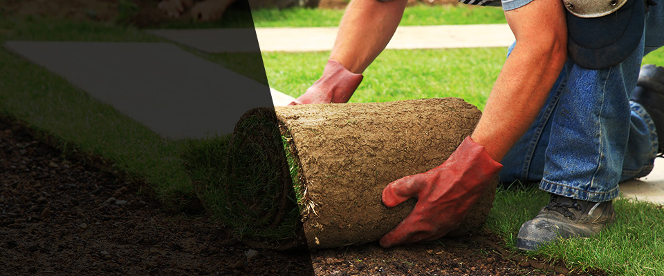 Park Rapids Landscapers